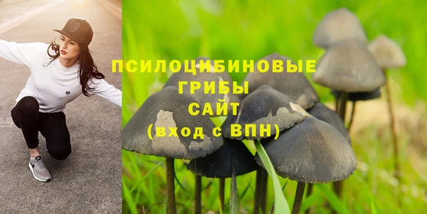 прущая мука Богданович