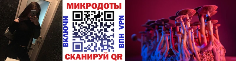 Псилоцибиновые грибы прущие грибы  Волчанск 